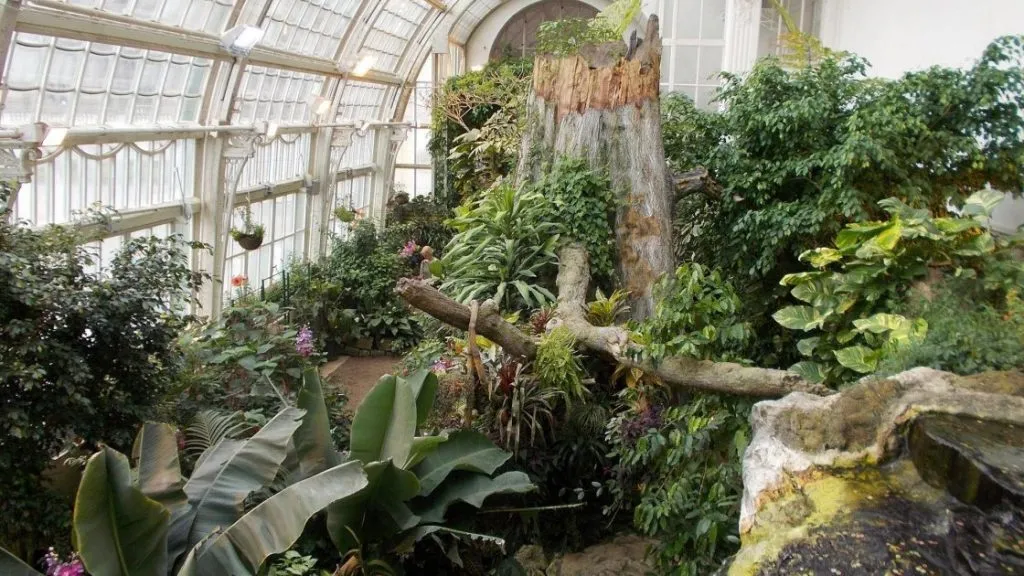 პეპლების სახლი