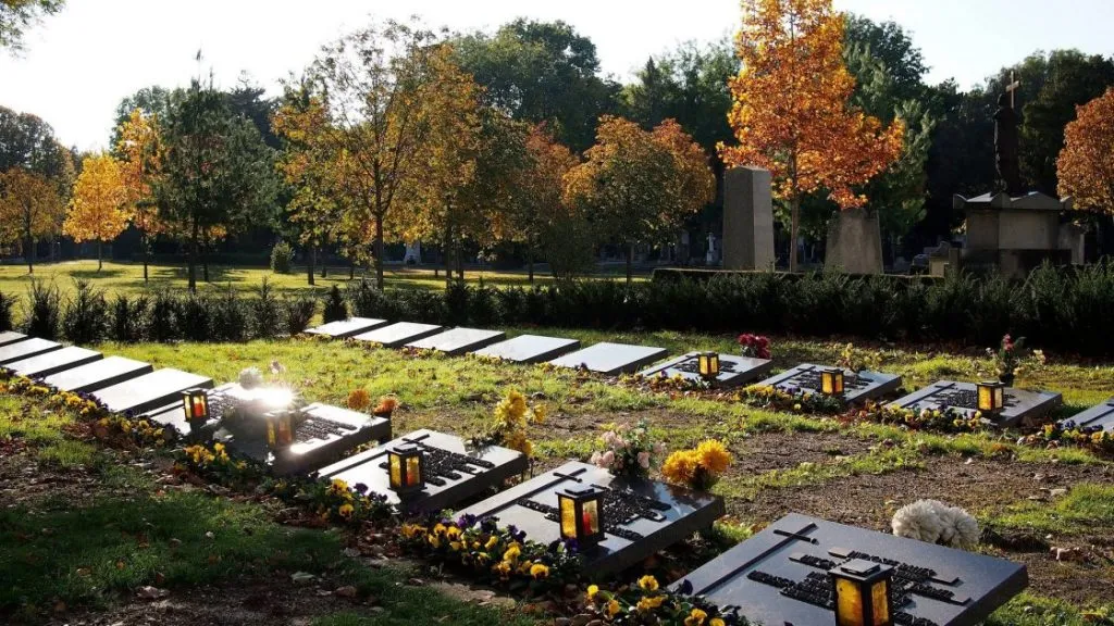 სასაფლაო