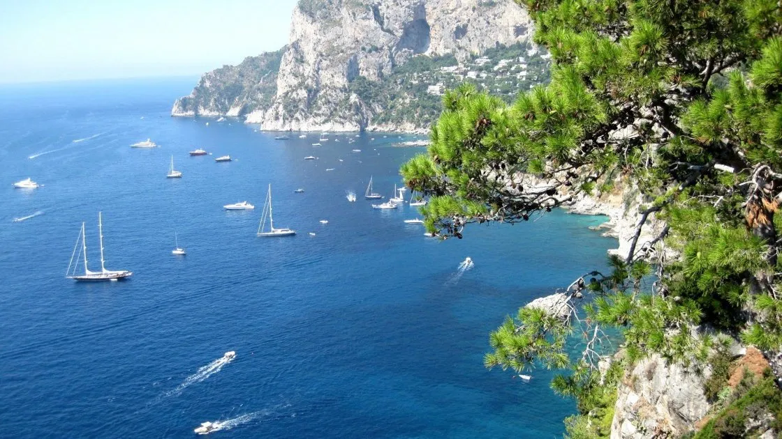 ხმელთაშუა ზღვა