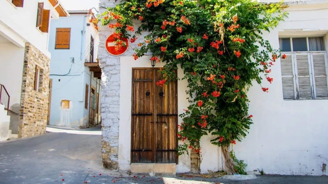 კვიპროსი