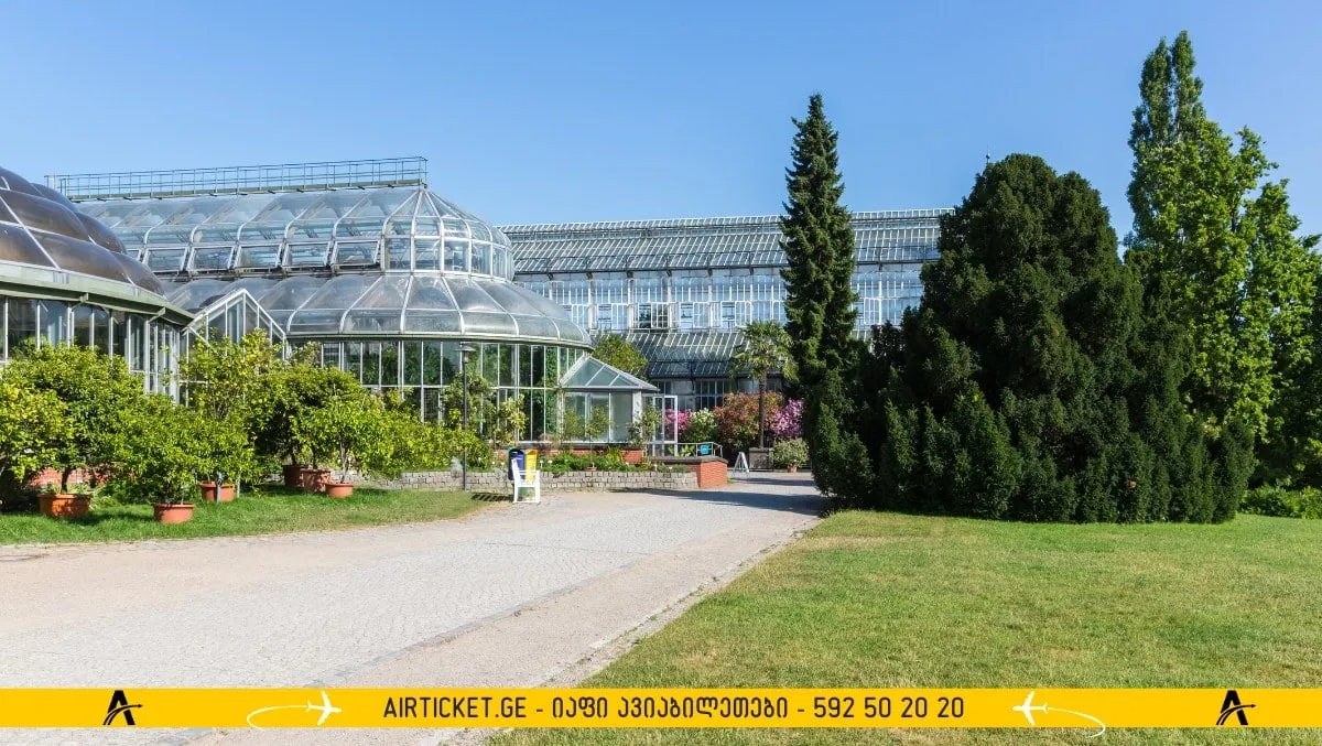 ბოტანიკური ბაღი ბერლინში