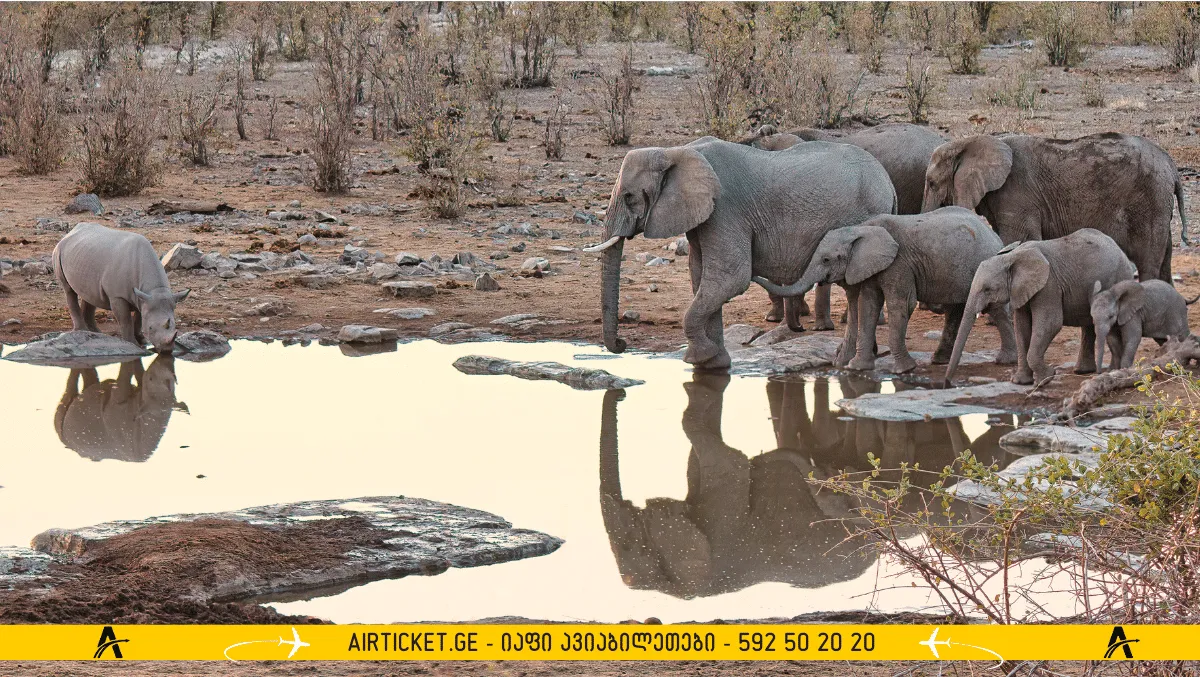 ნამიბია