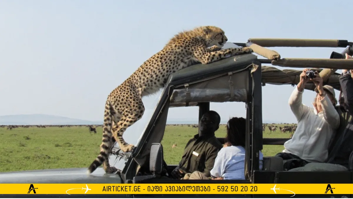 ტანზანია