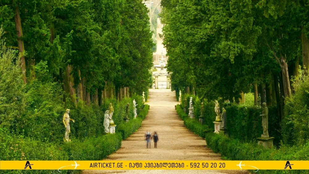 ულამაზესი ხეები და სიმწვანე ბობოლის ბაღებში