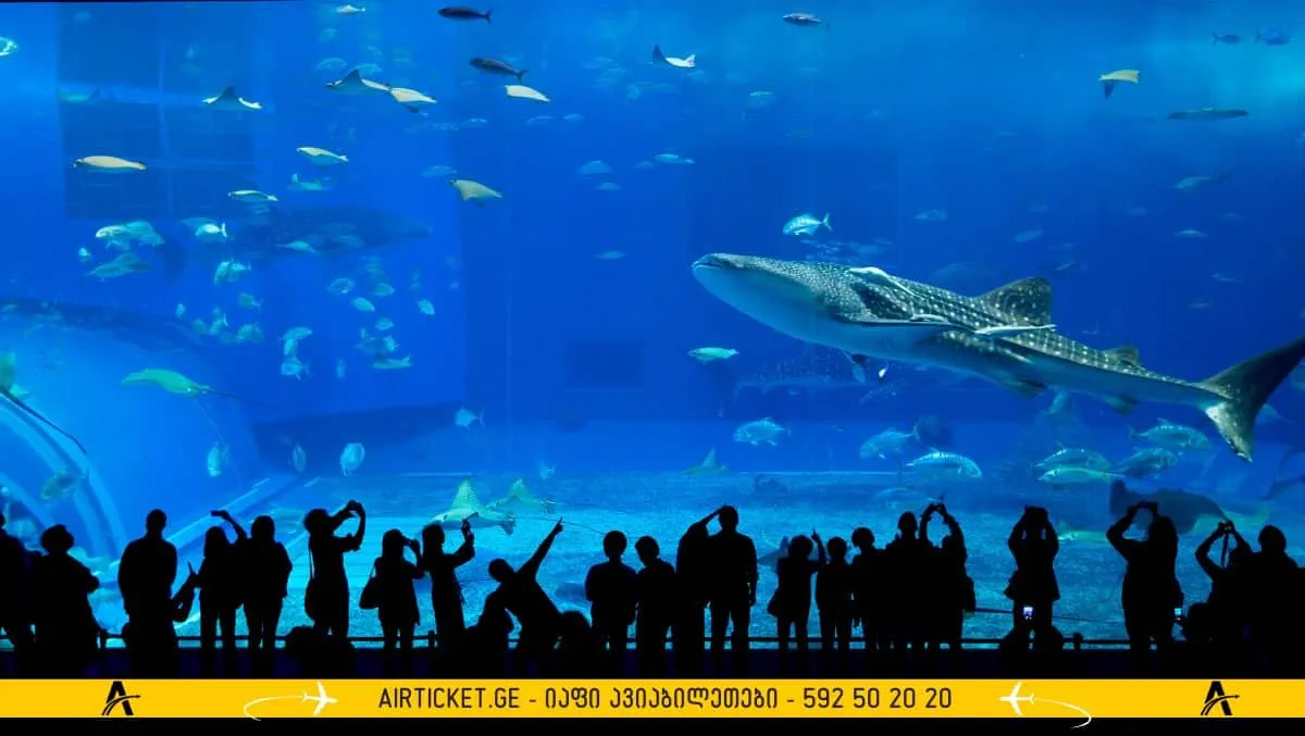 დუბაი აკვარიუმი